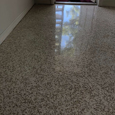 polished terrazzo sarasota, fl