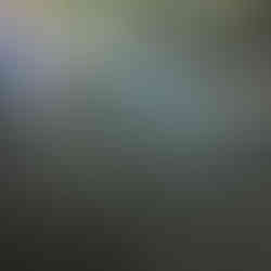 concrete restoration and polishing