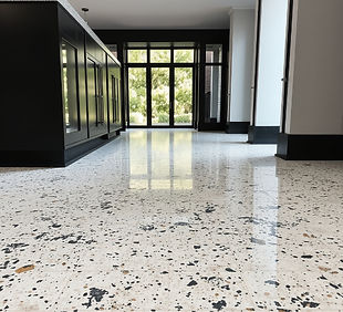 terrazzo floor up close_edited.jpg
