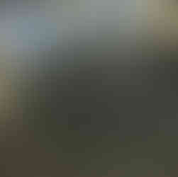 concrete polishing sarasota fl