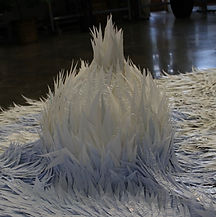 Hyunsuk Erickson.jpeg