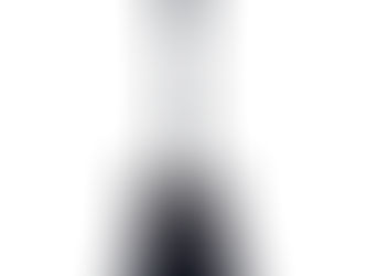 EKO DV-300