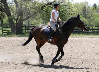 horse-rider.jpg