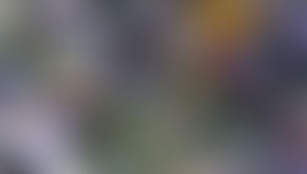 Chaotic scenes in Ugandan parliament as MPs debate age limit motion