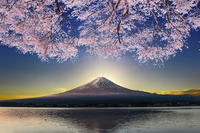 2025 EVENT NEWS - July - Curated Japan: A Community for Those Who Seek the Heart of Japanese Culture