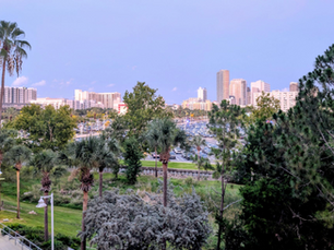 As decision looms, will St. Pete choose multiple Gas Plant developers? Welch questions highlight competing development strategies