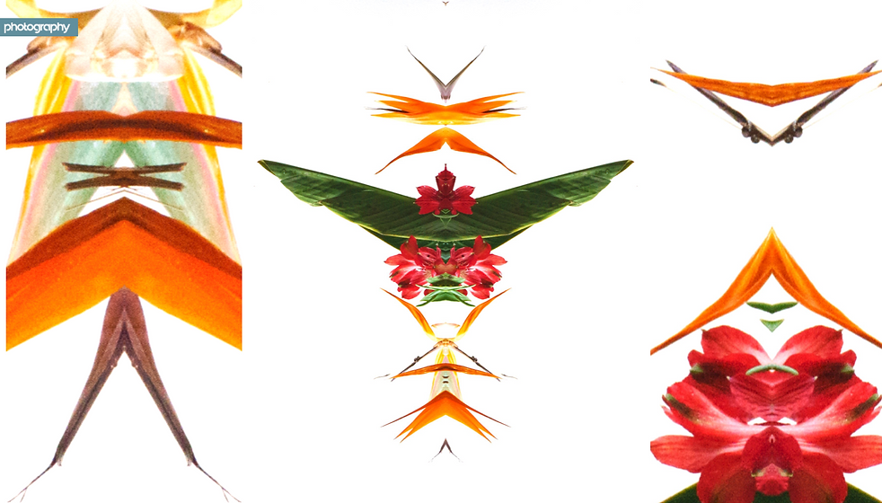 Schermata 2020-09-23 alle 16.52.06.png