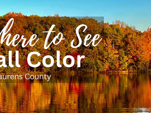Fall Leaves in Laurens County