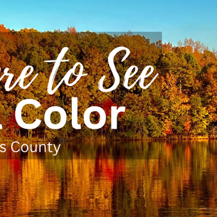 Fall Leaves in Laurens County