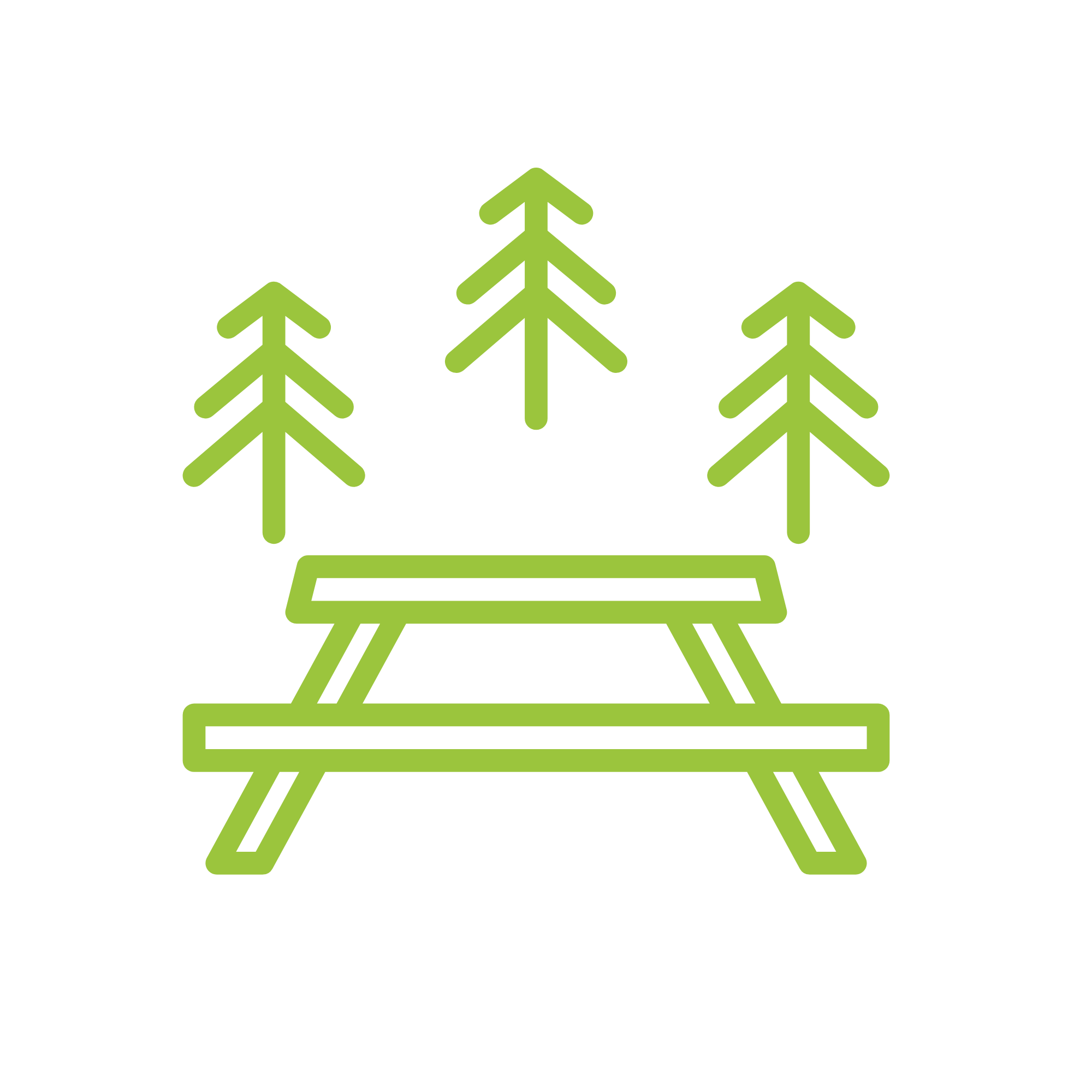 Visit Icon for website (1).png