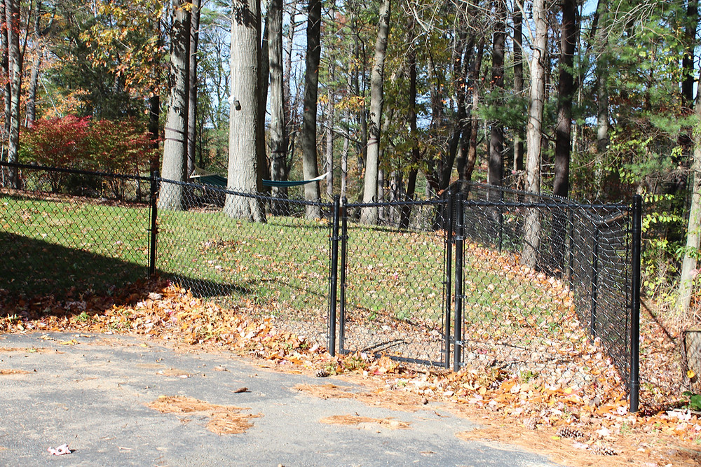Why a Chain Link Fence Is a Good Choice for Pet Fencing in Rockland County, NY