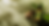 banner inicial web yawambe.png
