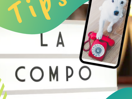 Tips para tomar fotos de tu mascota con tu celular : video #2