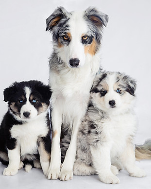 CRISDOGLIMPIAS-30.jpg
