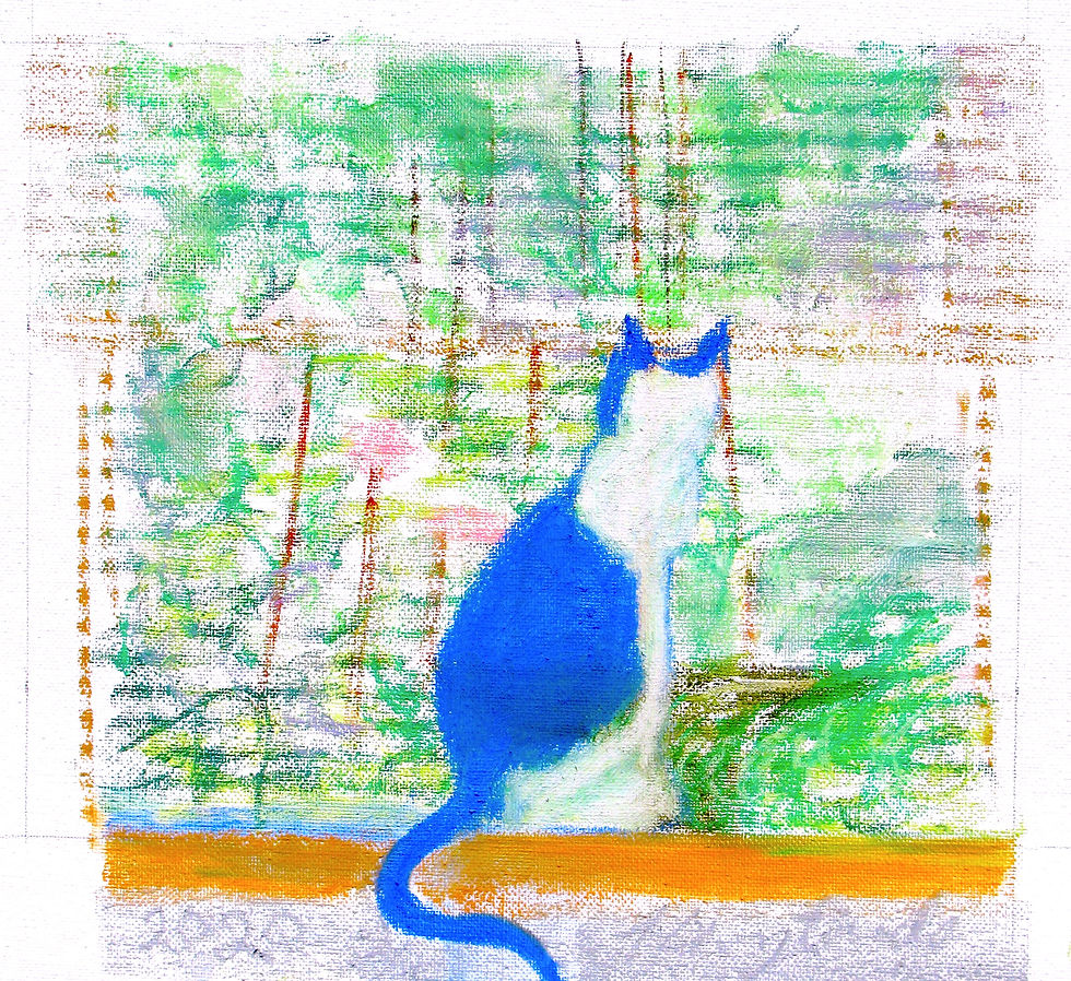 11hporado2020catinthewindow.jpg