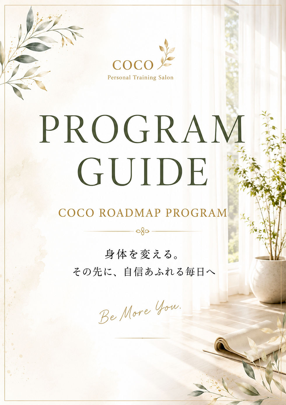 COCO ROADMAP PROGRAM