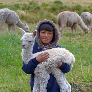 kid_and_alpaca.jpeg