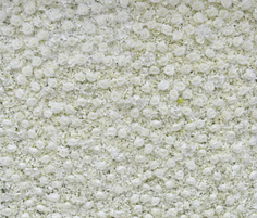 3D white floral photo booth backdrop rental Toronto – premium wedding backdrop +$200 – Laluna Photo Booths.