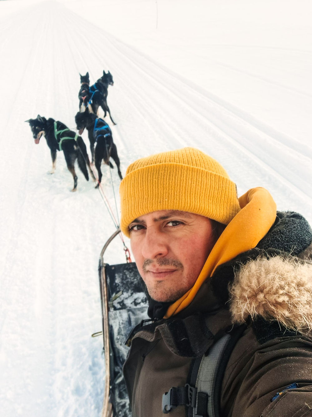 Hombre con gorro amarillo y perros tirando de un trineo en la nieve