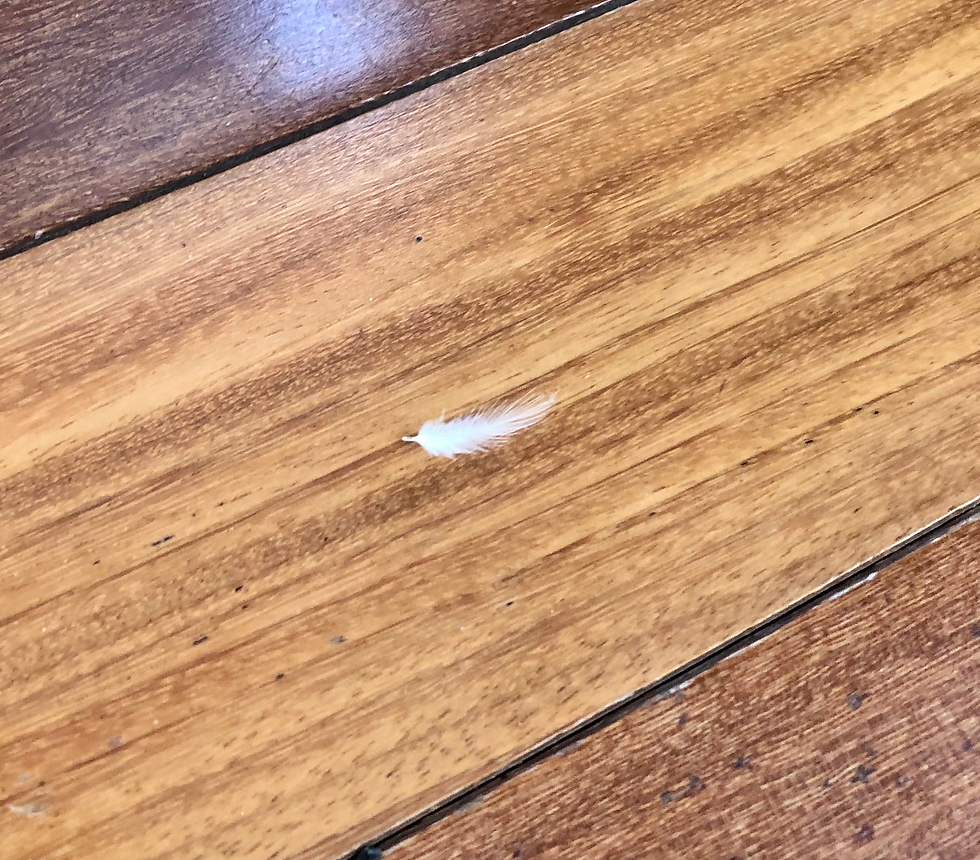 Magic Moments: Day 2