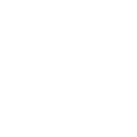 טיקטוק