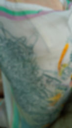 Thumbnail: Souvenir sauvage