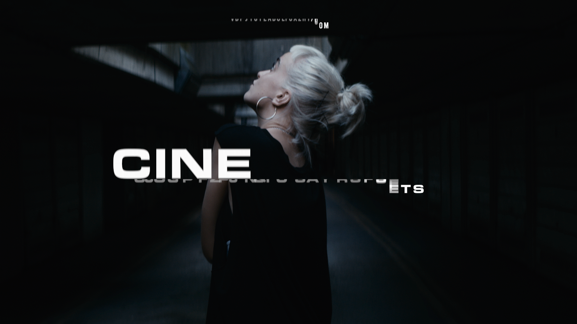 CINE LUTS poster 2.gif