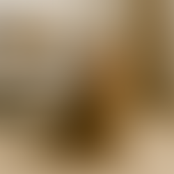 Chat qui miaule de manière intempestive, chat qui miaule beaucoup, chat qui miaule trop, chat qui miaule beaucoup