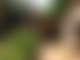 Game of Thrones fanatics guide to London