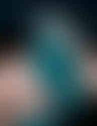 FOLLOW 2022/2023