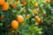 AdobeStock_81034061.jpeg