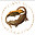 www.canvasgeckos.com