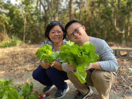 愛啟兒的開心菜園 採收囉!