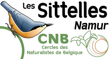 LOGO 2024 V3.jpg