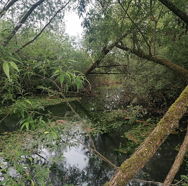 Photo 2 FRA_2_LOIRE_04.jpg