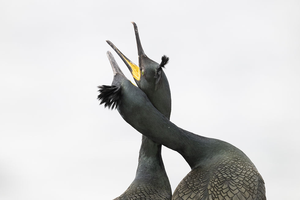 UGNIVENKO Fedor avec un cliché extrait de son exposition "Ailes du Nord"