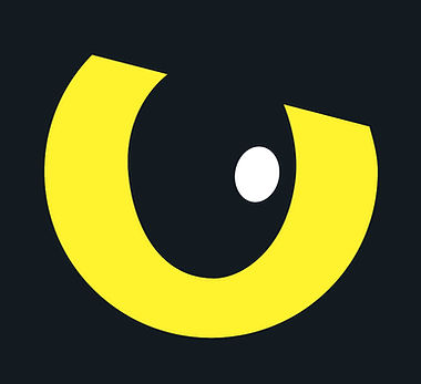 Logo FINN - oeil seul - fond noir - jpg 820x820.jpg