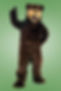 bear 1