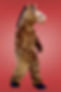 horse1