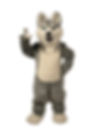 husky stock