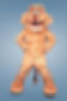 Zoobie lion