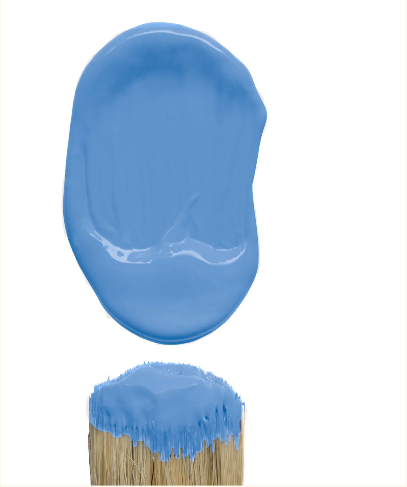 Forget Me Never (Ltd Edition)