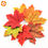 Thumbnail: Pack of Fall leaves (30 leaves)