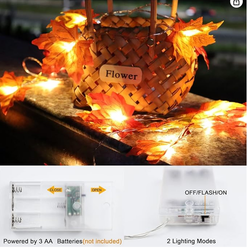 Thumbnail: Fall String Lights