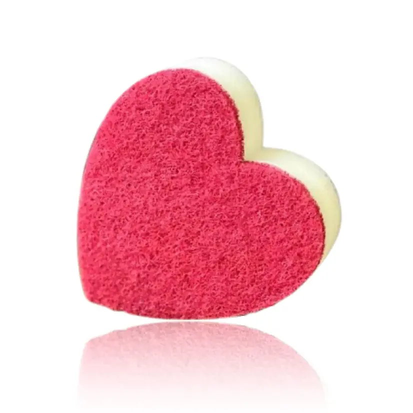 Painting/Cleaning Sponge