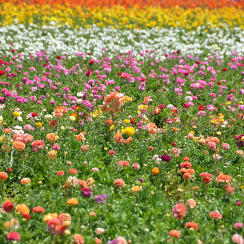 Keep The Word Of God