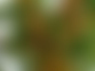 Be Found And Be Changed