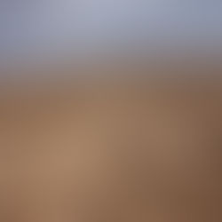 Jesus’s Actions Reveal His Identity