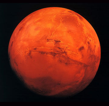 ree