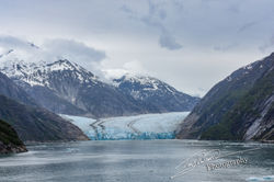 Endicott Arm-7378
